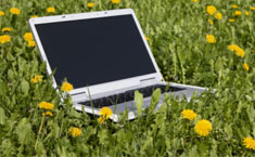 software